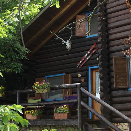 B&B Le Corone - Chalet Nel Bosco Cavalo 外观 照片