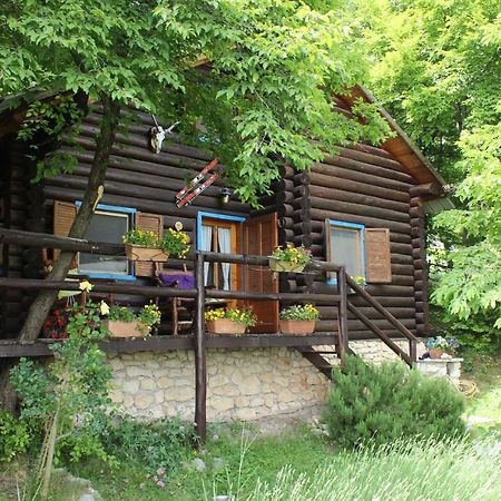 B&B Le Corone - Chalet Nel Bosco Cavalo 外观 照片