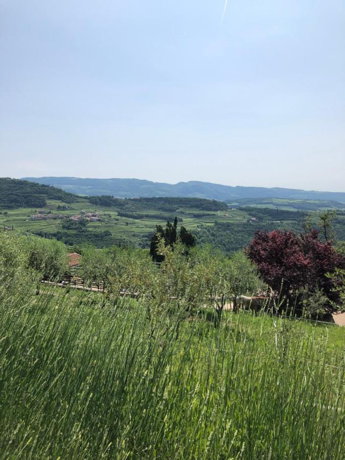 B&B Le Corone - Chalet Nel Bosco Cavalo 外观 照片