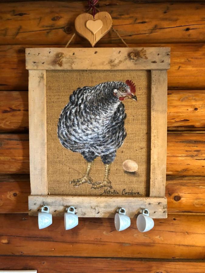B&B Le Corone - Chalet Nel Bosco Cavalo 外观 照片