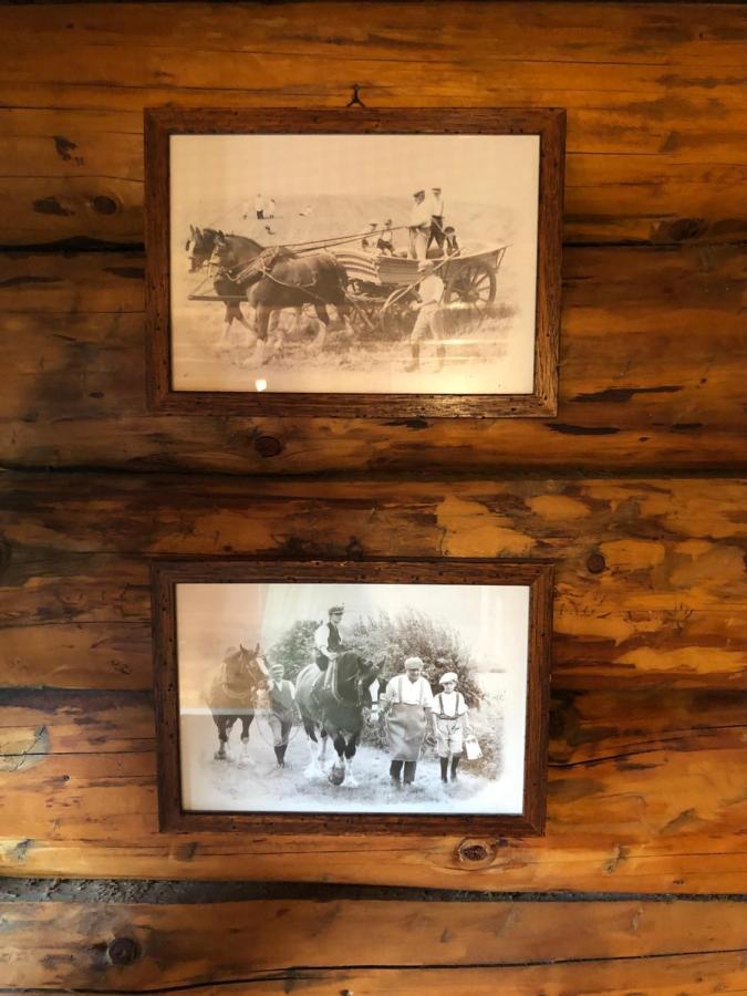 B&B Le Corone - Chalet Nel Bosco Cavalo 外观 照片