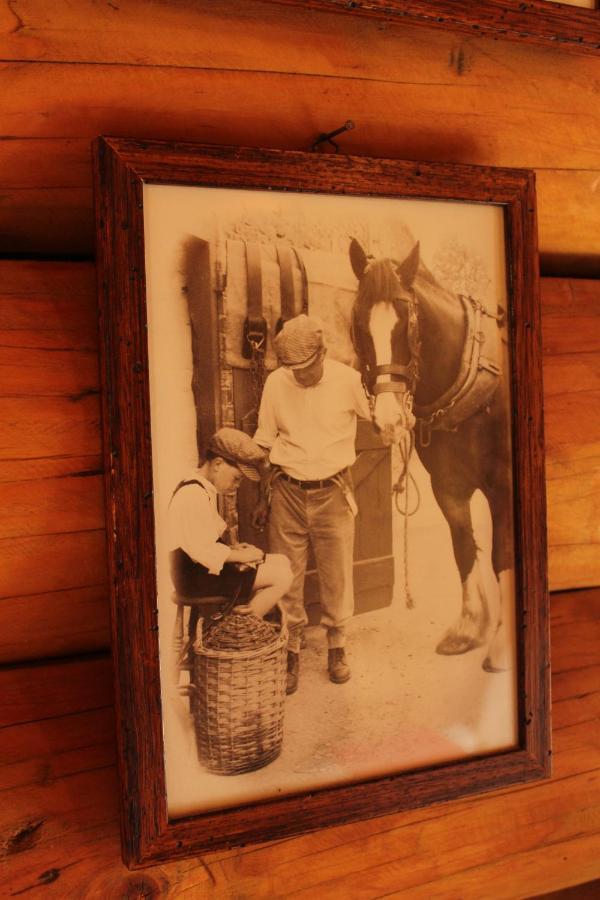 B&B Le Corone - Chalet Nel Bosco Cavalo 外观 照片
