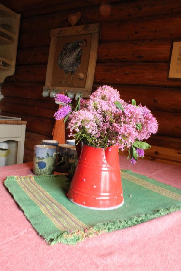 B&B Le Corone - Chalet Nel Bosco Cavalo 外观 照片