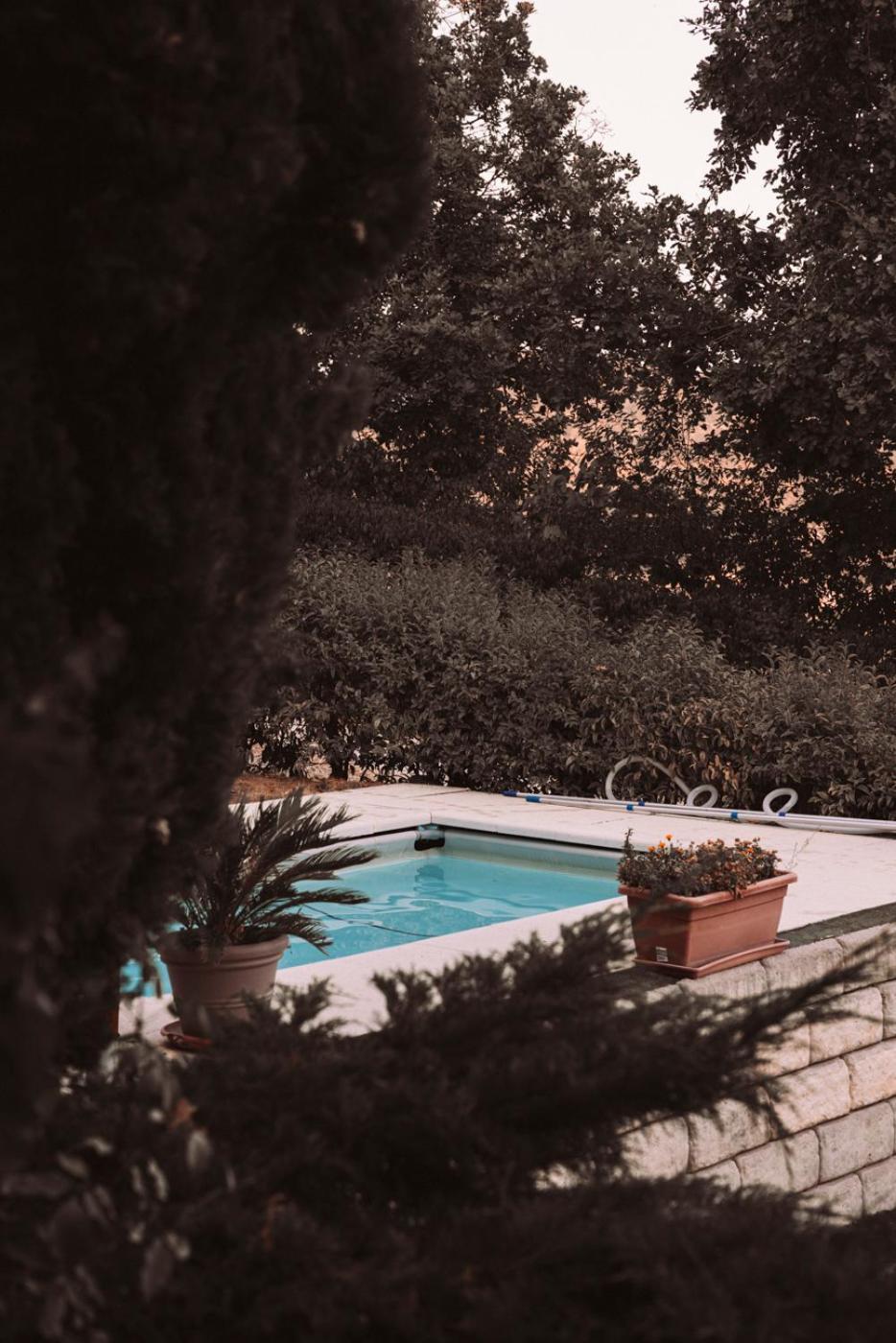 B&B Le Corone - Chalet Nel Bosco Cavalo 外观 照片